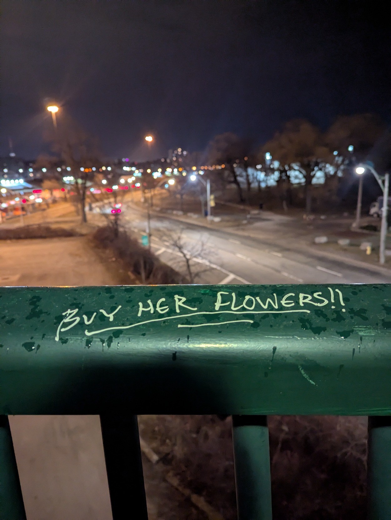 a green bridge railing overlooking a highway in the early morning before sunrise. Someone has written on the railing "Buy her flowers!!"