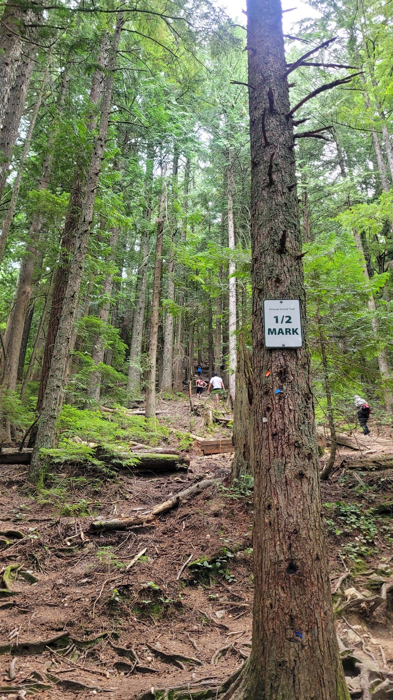 1/2 marker at the Grouse Grind hiking trail. Looking uphill at the rugged trail and other hikers.